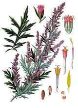 Load image into Gallery viewer, Soap, Mugwort with Patchouli, single bar